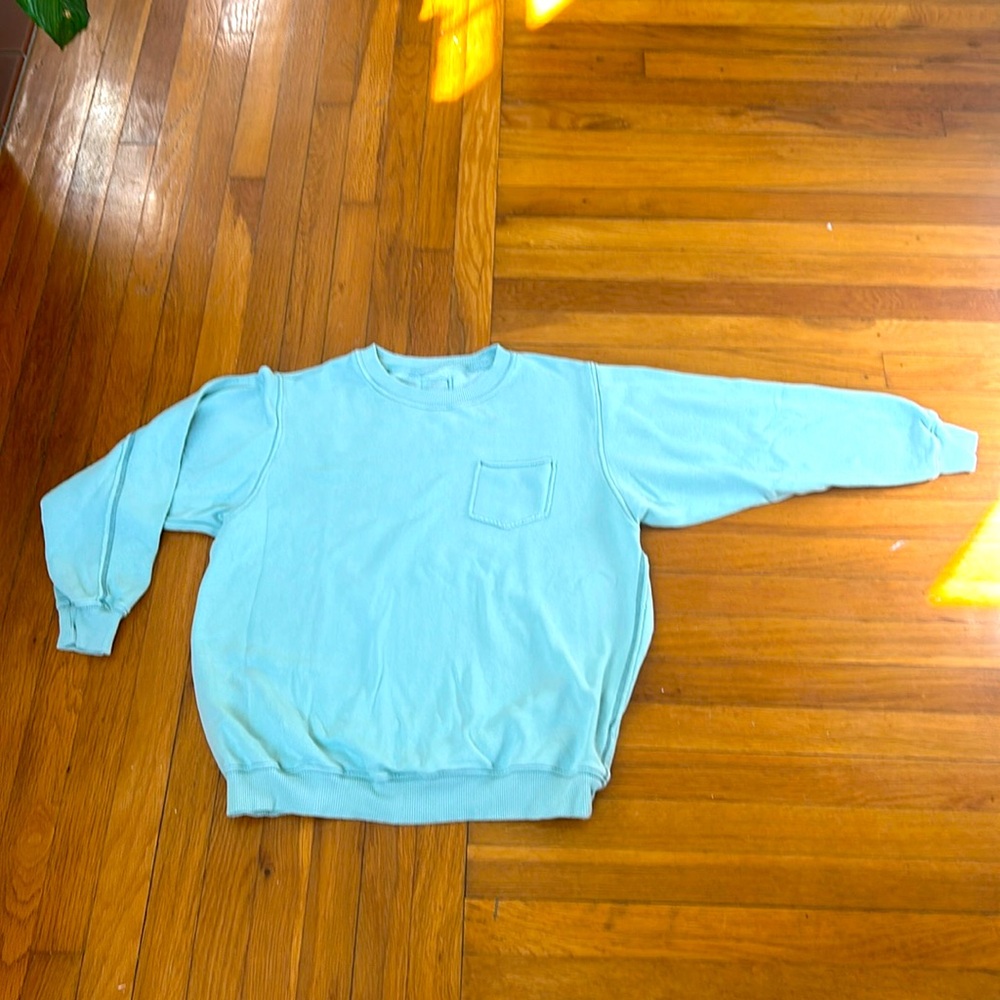 Aerie Light Sage Green Sweatshirt
